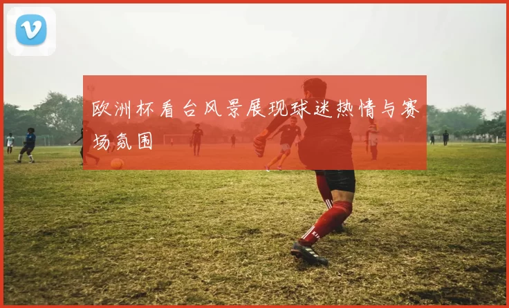 欧洲杯看台风景展现球迷热情与赛场氛围