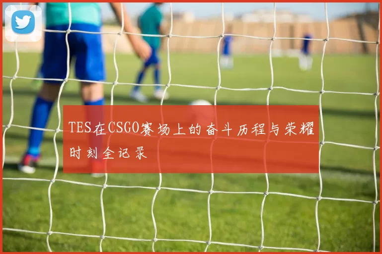 TES在CSGO赛场上的奋斗历程与荣耀时刻全记录