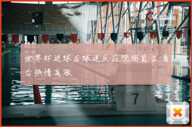 世界杯进球后球迷反应现场直击 看台热情高涨