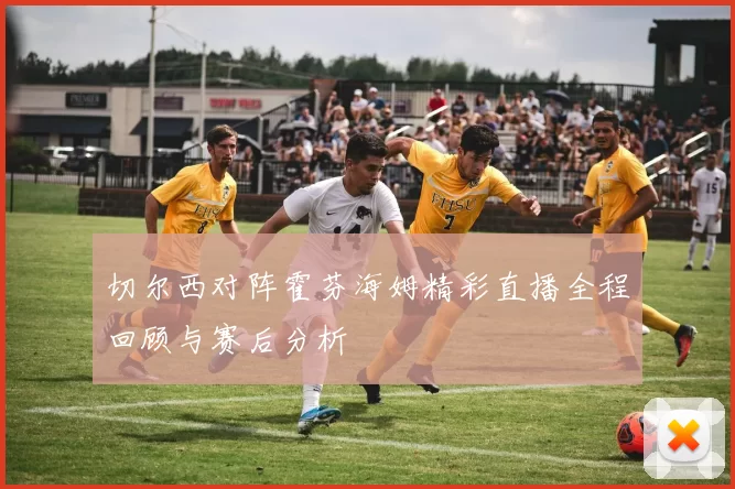 切尔西对阵霍芬海姆精彩直播全程回顾与赛后分析