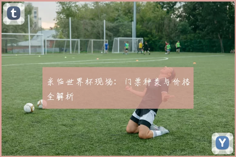 亲临世界杯现场：门票种类与价格全解析