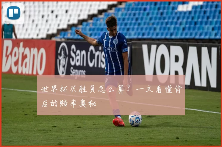 世界杯买胜负怎么算？一文看懂背后的赔率奥秘