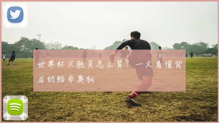 世界杯买胜负怎么算？一文看懂背后的赔率奥秘