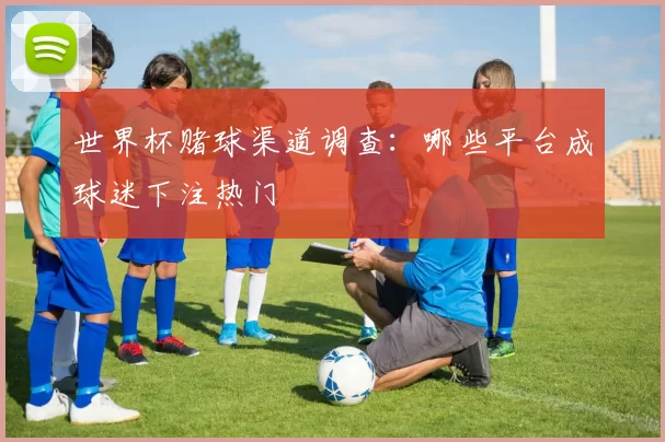 世界杯赌球渠道调查：哪些平台成球迷下注热门