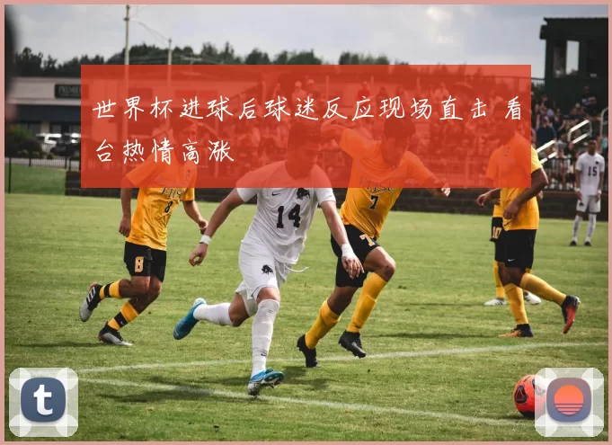 世界杯进球后球迷反应现场直击 看台热情高涨
