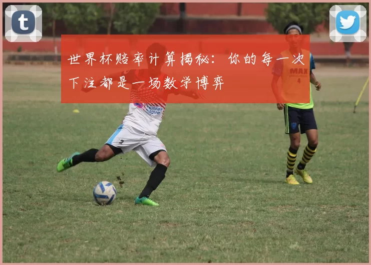 世界杯赔率计算揭秘:你的每一次下注都是一场数学博弈