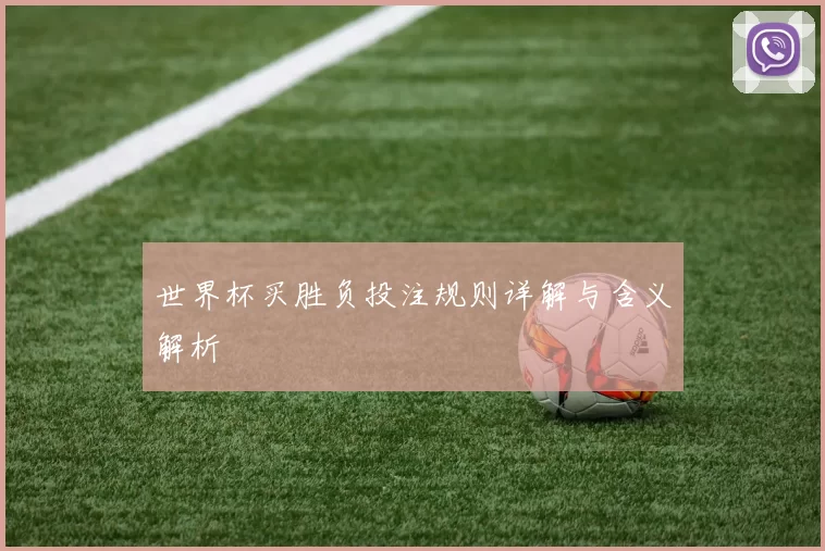 世界杯买胜负投注规则详解与含义解析