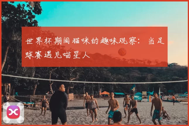 世界杯期间猫咪的趣味观察：当足球赛遇见喵星人