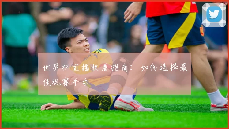 世界杯直播收看指南:如何选择最佳观赛平台