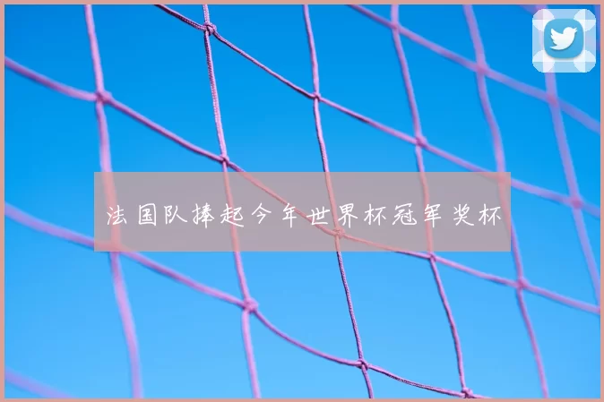 法国队捧起今年世界杯冠军奖杯