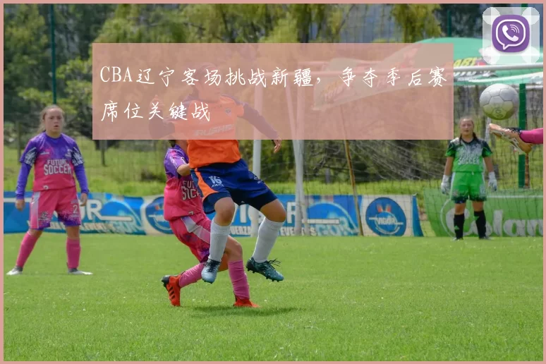 CBA辽宁客场挑战新疆，争夺季后赛席位关键战