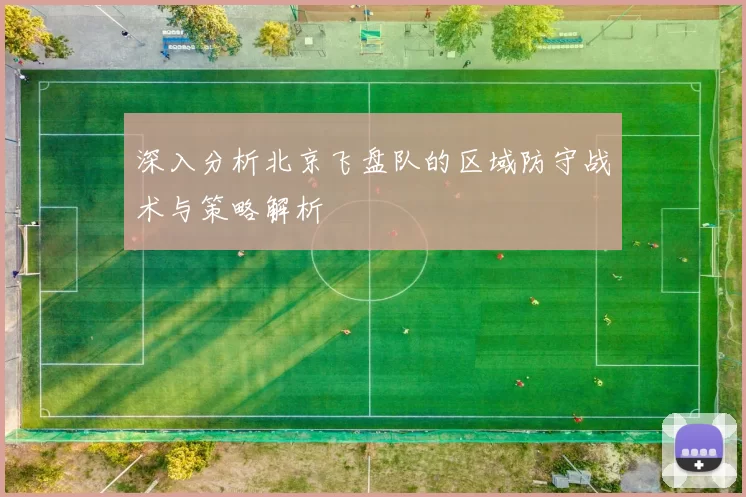 深入分析北京飞盘队的区域防守战术与策略解析