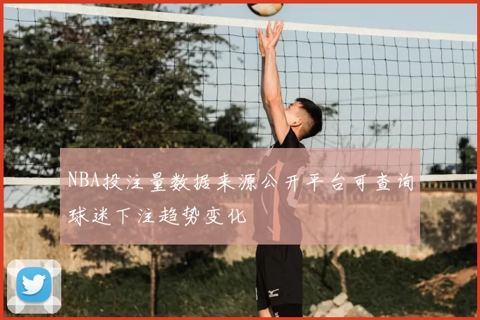 NBA投注量数据来源公开平台可查询球迷下注趋势变化